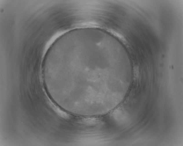 X0000076061470200610152150