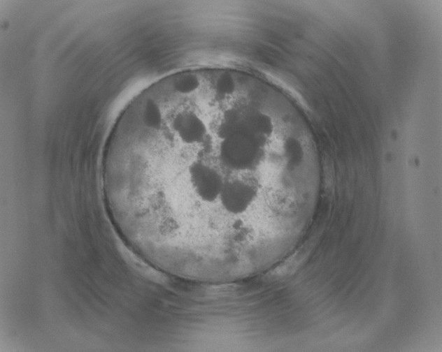 X0000076061471200610152150