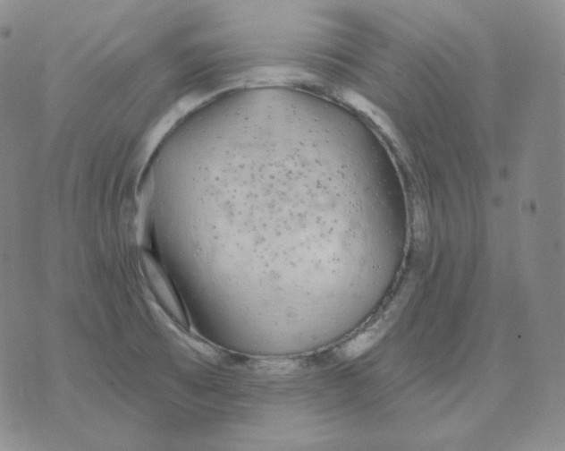 X0000076061473200610152150