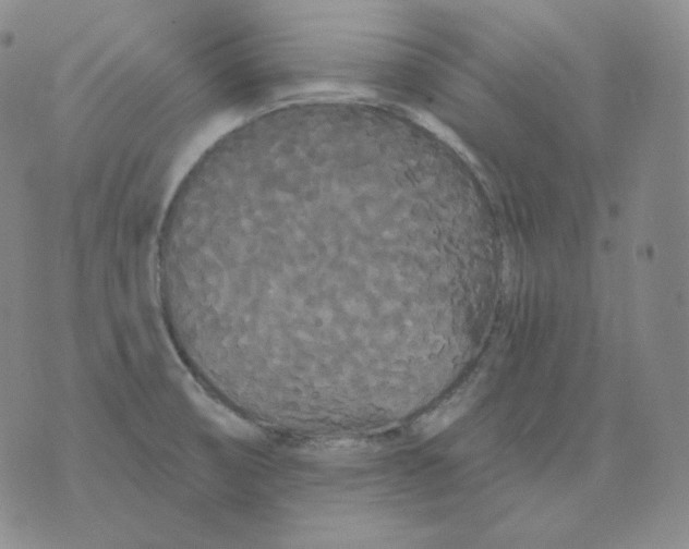 X0000076061474200610152150