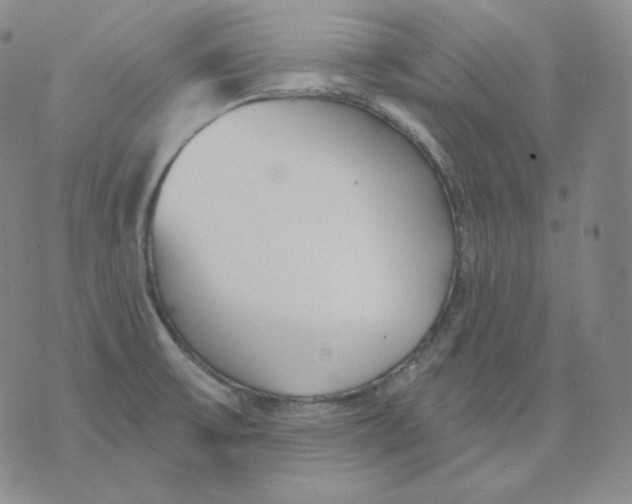 X0000076061475200610152150