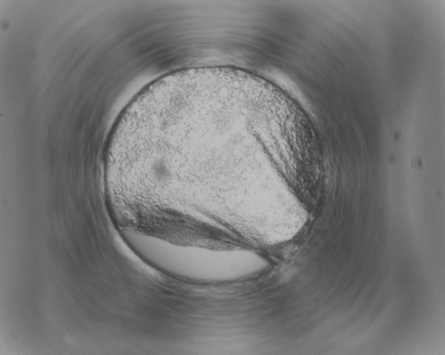 X0000076061476200610152150