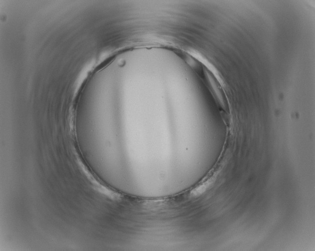 X0000076061477200610152150