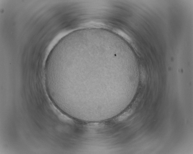 X0000076061478200610152150