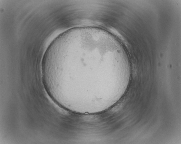 X0000076061479200610152150