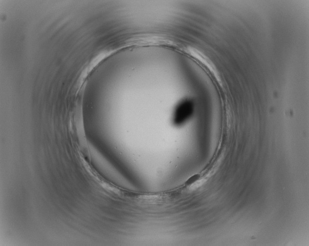 X0000076061481200610152150