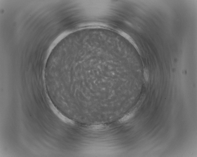 X0000076061482200610152150