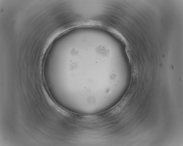 X0000076061483200610152150