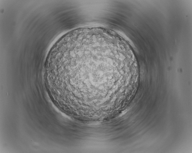 X0000076061484200610152150