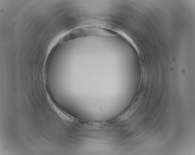 X0000076061485200610152150