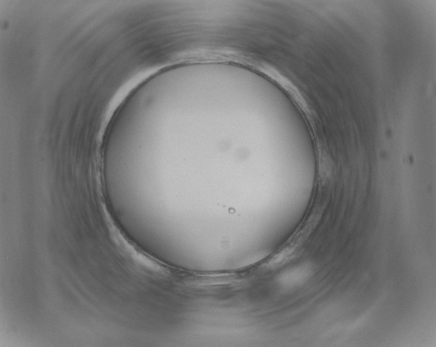 X0000076061486200610152150