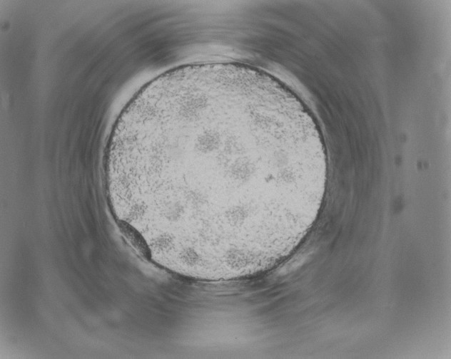 X0000076061488200610152150