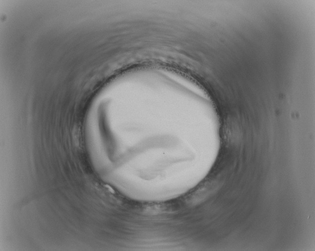 X0000076061490200610152149