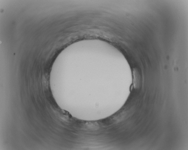 X0000076061491200610152149