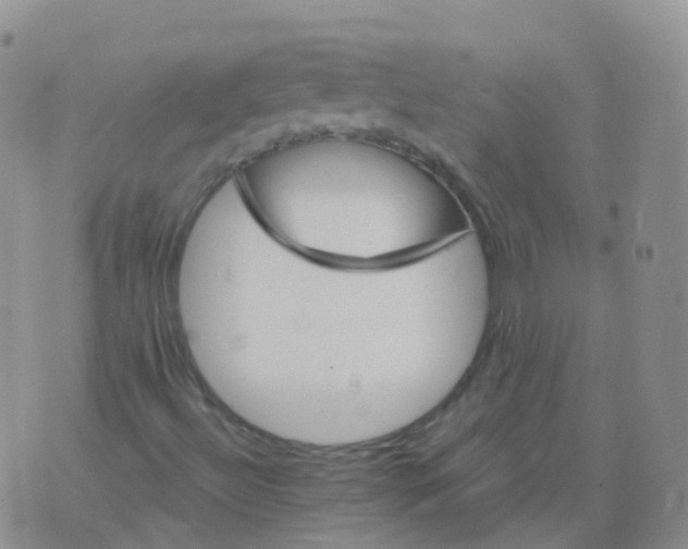 X0000076061492200610152149