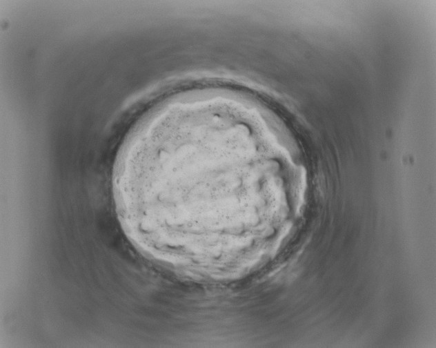 X0000076061494200610152149