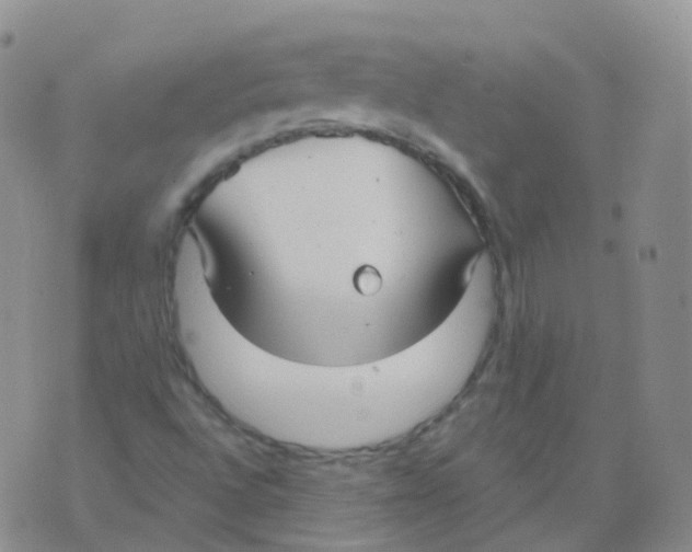 X0000076061496200610152149