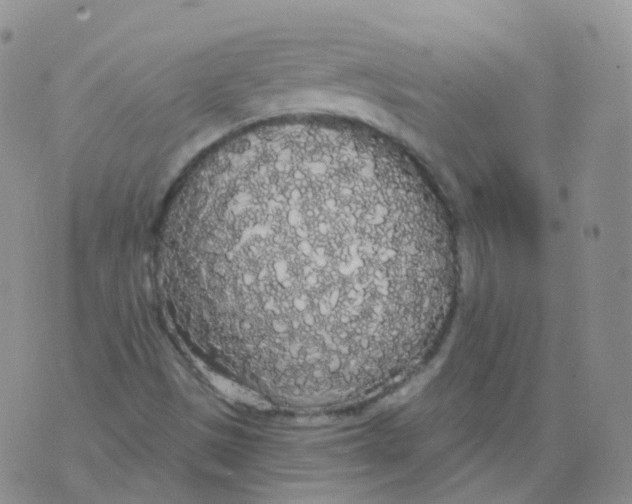 X0000076061497200610152149