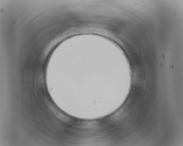 X0000076061498200610152149