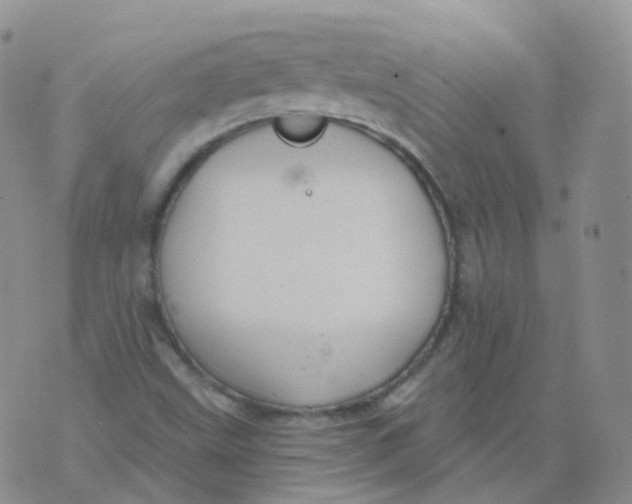 X0000076061499200610152149