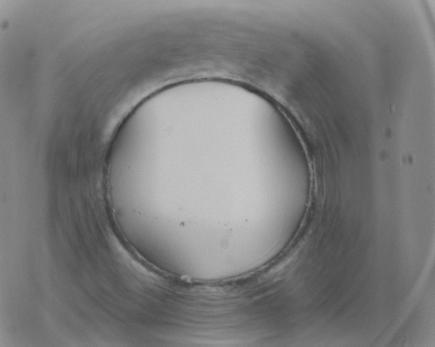 X0000076061500200610152149