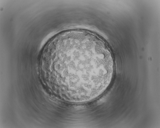 X0000076061501200610152149