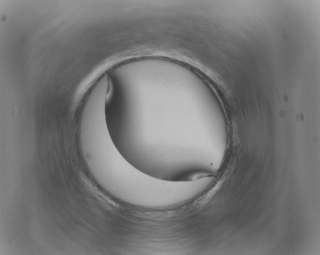 X0000076061502200610152149