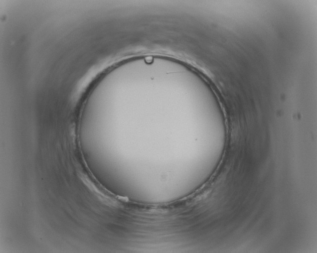 X0000076061503200610152149