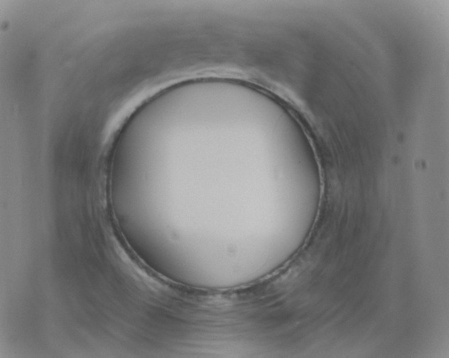 X0000076061504200610152149