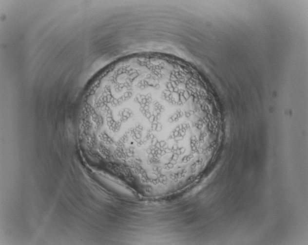 X0000076061505200610152149