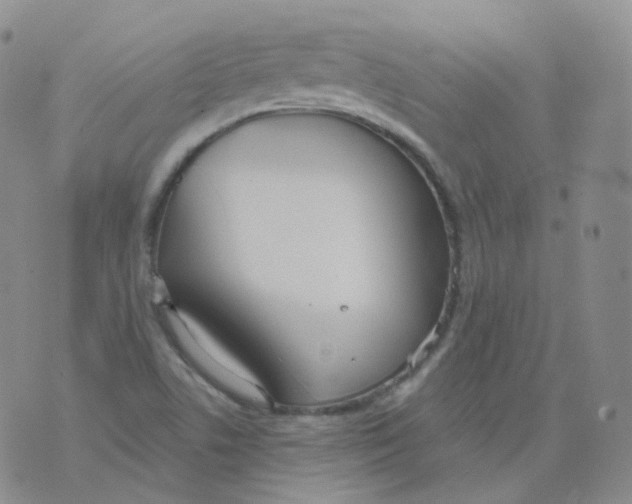 X0000076061506200610152149