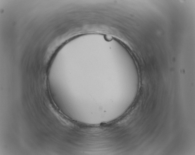 X0000076061507200610152149