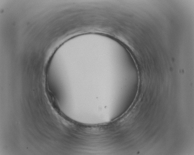 X0000076061508200610152149