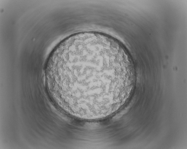 X0000076061509200610152149