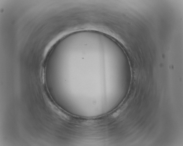 X0000076061510200610152149