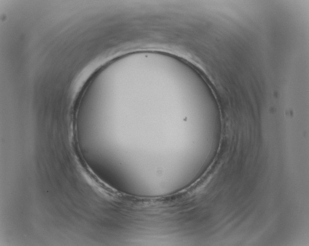 X0000076061511200610152149