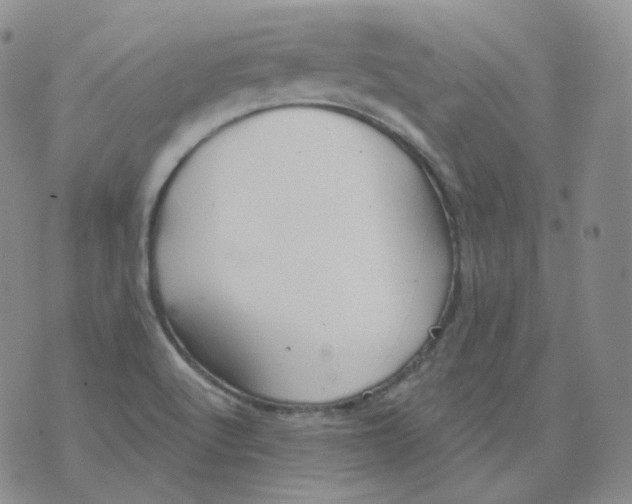 X0000076061512200610152149