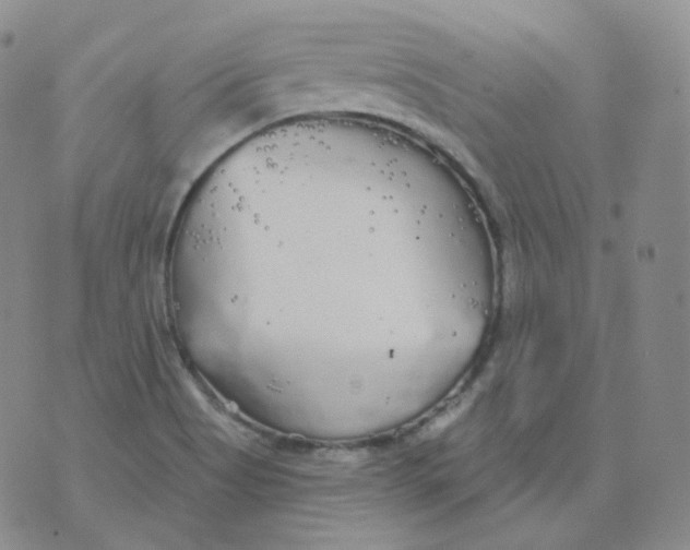 X0000076061513200610152149