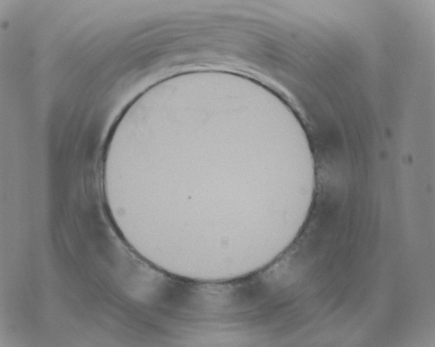 X0000076061514200610152149