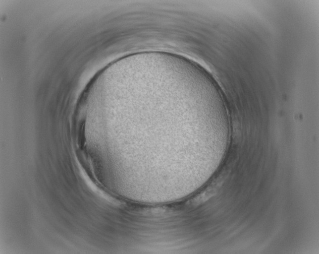 X0000076061515200610152149