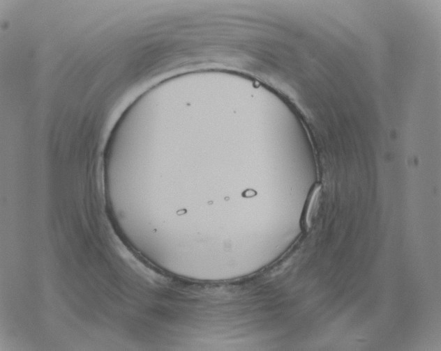 X0000076061516200610152149