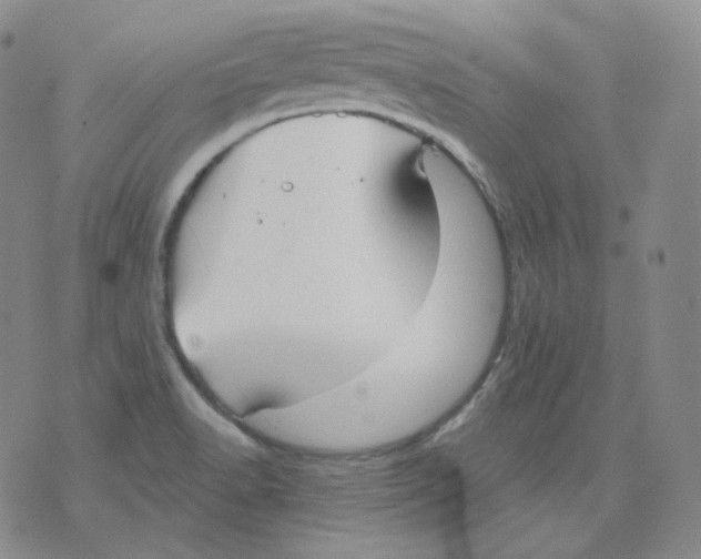 X0000076061518200610152149