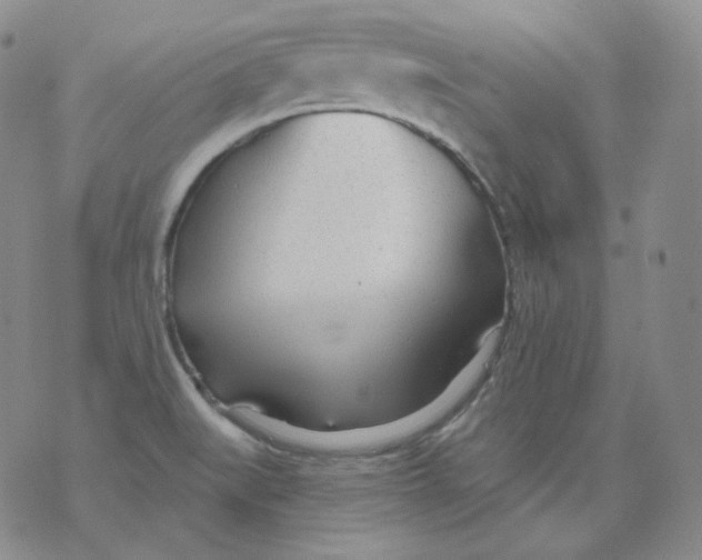 X0000076061519200610152149