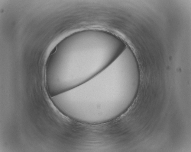 X0000076061520200610152149