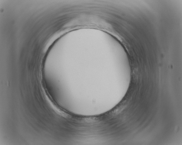 X0000076061523200610152150