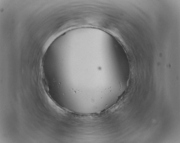 X0000076061524200610152150