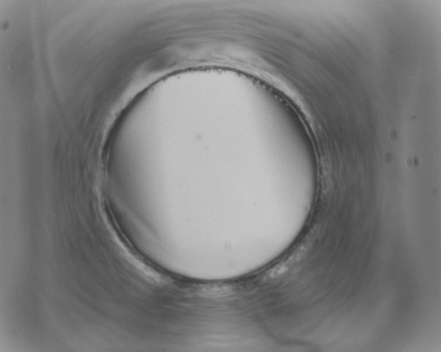 X0000076061525200610152150