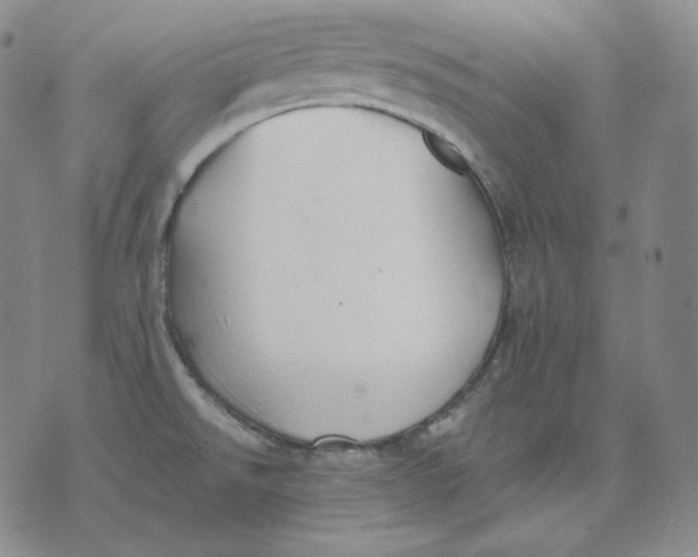 X0000076061526200610152150