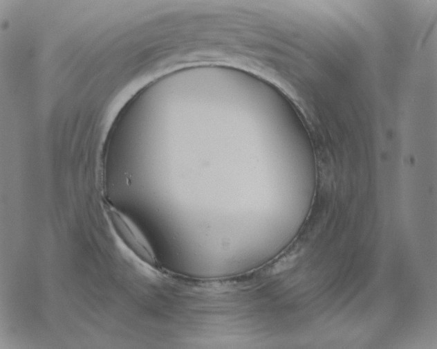 X0000076061527200610152150