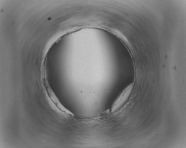 X0000076061528200610152150